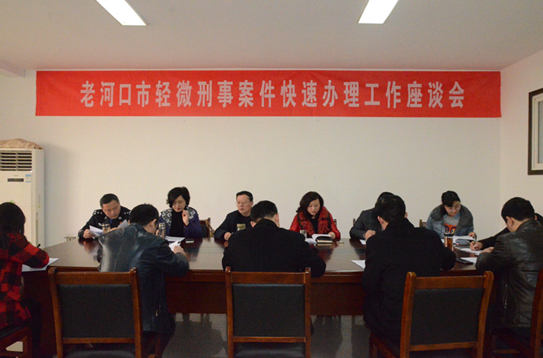 轻微刑事案件座谈会.jpg